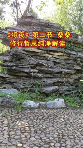 666书友会｜《将夜》第02节 · 桑桑深度解读结合五大修行境界，读懂宁缺与桑桑相生相依的宿命羁绊，全章节持续连载，文稿后续汇编成书 #666书友会 #将夜 #将夜深度解读 #将夜五大修行境界 #桑桑人物解析