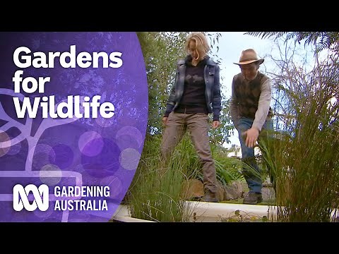 Make your garden wildlife friendly | Gardening for Wildlife | Gardening Australia