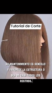 Tutorial de corte Long Bob #fblifestyle #fblifestyle #estilista | Alejandro Arguello Estilista