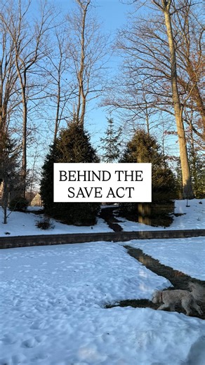 Chloe | The SAVE Act EXPLAINED: Did you know: - One minnesota voter can VOUCH for Up to 8 other persons without an ID to register to vote. - 1.5... | Instagram