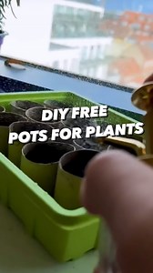 111K views · 4.8K reactions | How to recycle those toilet tubes.. to...