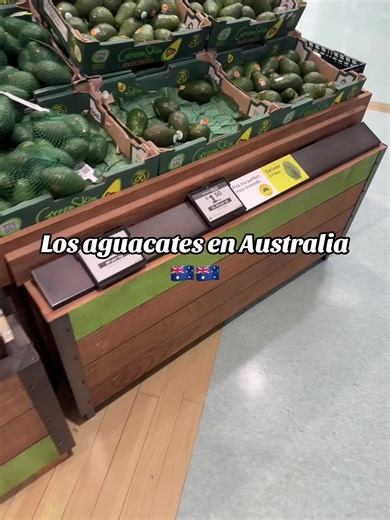 Avocados in Australia: Unique Insights