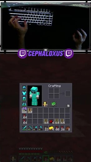 Can you tell I have bad experiences with mobs and spears?