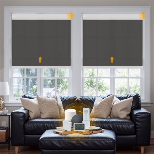 Keego Smart Motorized Roller Shades Work with WI-Fi Intelligent Sensor Shades with Remote Window Blinds work with Alexa Google for Smart Home Office,44"Wx36"H(Black, Light Fithering)