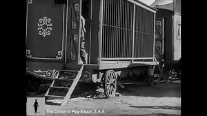 1.4K views · 34 reactions | Charlie Chaplin The Circus 1928 The...