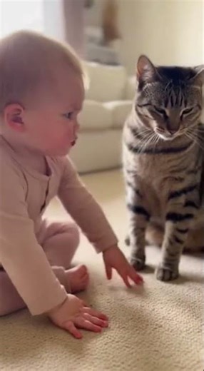 Toddler vs. Kitty: Couch Rules Showdown!