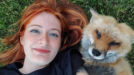 Save A Fox charity confirms death of Finnegan the Fox