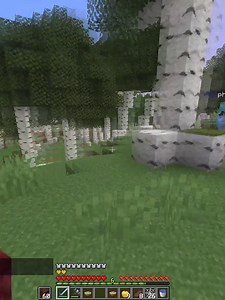 #minecraft #fyp #hungergames #pvp This is how Hungergame and Purge events go at the end... 5v5 fights in Minecraft Hunger Games aren’t just about who has the best gear ⚔️ — it’s all about teamwork. When your squad moves together, shares resources, calls out enemies, and protects each other, you instantly become 10x stronger. One player alone gets targeted… but a coordinated team controls the entire fight. Stick together. Communicate. Play your role. That’s how you win 🏆 Solo skill is good… but