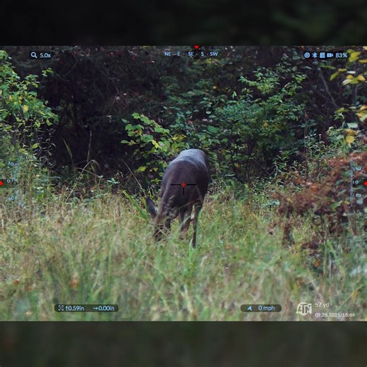 ATN Corp. on Instagram: "Sometimes, the quiet moments in the woods are the ones that stay with you. This curious whitetail doe wandered into view, and the ATN X-Sight 5 captured every flick of her ear and every breath in stunning 4K clarity. With its Ultra 4K+ sensor and exceptional low-light performance, the X-Sight 5 turns dusk into daylight and brings nature’s smallest details to life. Whether you’re on the hunt or just observing the wild, this optic makes every moment unforgettable. Experien