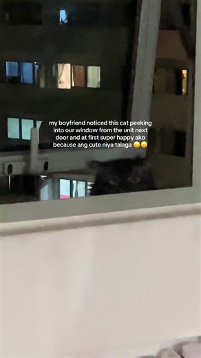 Scared for the Cat on the 15th Floor