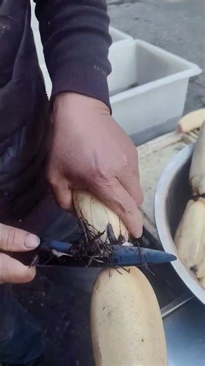 Cuting vigitable#shorts #youtubeshorts