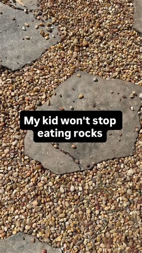 My kid won’t stop eating rocks 😭 If your landscaping rocks keep getting picked up, moved, or chewed on… you need a better solution. Lockscape Rock Glue Max locks rocks in place so they stay where they belong, and it’s pet safe, kid safe, permeable, and non-toxic. Comment GLUE for the link ⬇️ | Lockdown Sticky