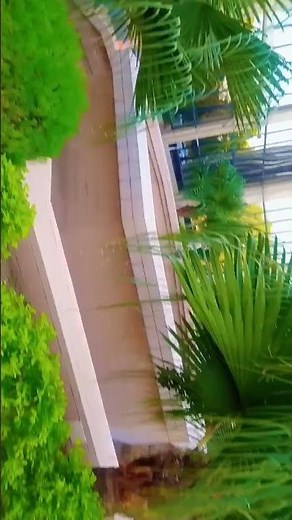 #PPMC #Islamabad # RedZone