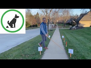 Should Dogs Poop in Your Yard?