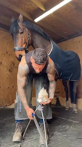 Farrier Nailing a horseshoe on #farrier #equestrian #work #horse #satisfying #shorts | Swfarriers.