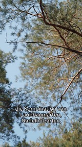 18 reactions | Der Grund, warum du heimisches Hirschfleisch genießen...