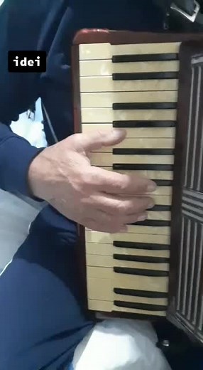 Accordion Music Performance for Students