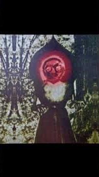 【実話】森に現れた“謎の存在”…目撃者が震えた夜 #shorts