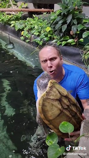 Finding and Catching Giant Mexican Musk Turtle | Turtle Fishing Adventure