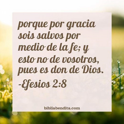 Explicación Efesios 2:8. 'porque por gracia sois salvos por medio de la fe; y esto no de vosotros, pues es don de Dios.' - BibliaBendita