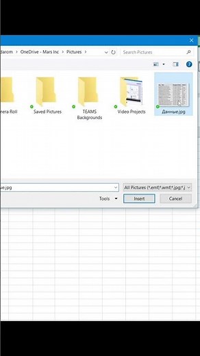 Как вставить данные из картинки в #excel