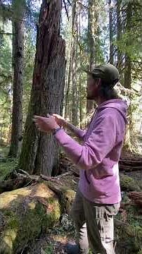 Tree Talk with Casey Clapp