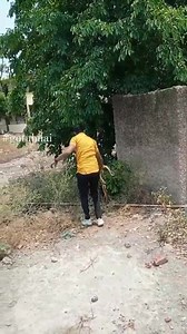 1.2M views · 10K reactions | Ye dono (male) hai (female) ke liye jhagada kar rahe the karte karte logo ke ghar tak ja rahe the toh logo ne cll karke mujhko bulaya mene unko rescue karke jungle me chodd diya  My first reels #gotubhai #sarpmitra #junnar #sneakfriend #nature | Indian Beauty | Facebook