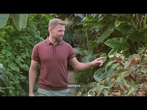 Progresion 6 HUMANIDADES 1 2PARCIAL