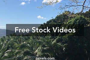 Hotel Video Videos, Download The BEST Free 4k Stock Video Footage & Hotel Video HD Video Clips