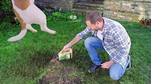 405K views · 34 reactions | Patches on your lawn? Use Miracle-Gro® Patch Magic®, a 3-in-1 mix of seed, feed and special compost which makes patches disappear like magic. | Miracle-Gro UK | Facebook