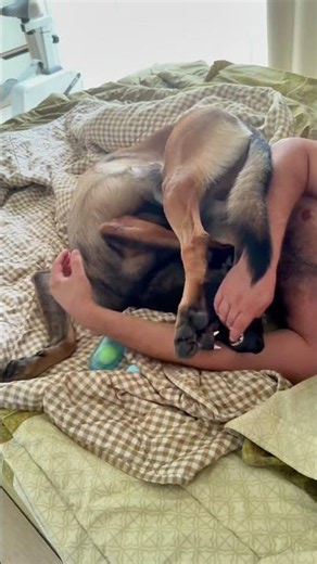 "Papa's Pretzel": The best way to wake up Dad! 🥨🐾«Папин крендель»: лучший способ разбудить папу! 🥨🐾