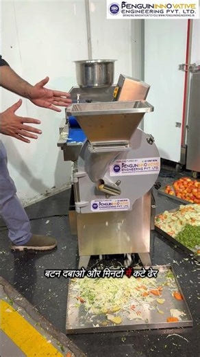 Vegetable Cutting Machine | Sabji Kat Ne Ki Machine | Vegetable Cutter | Automatic Machine