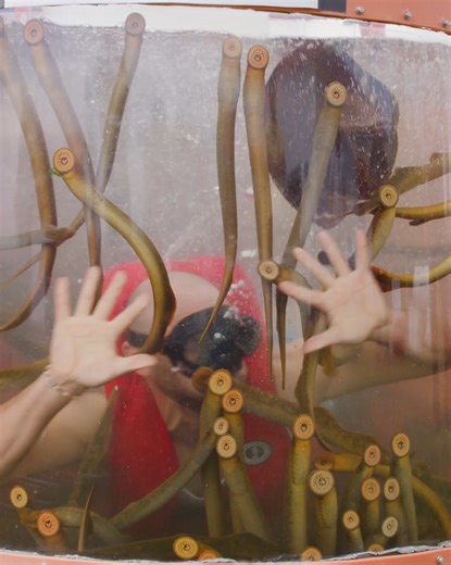 12M views · 10K reactions | Two tanks... hundreds of teeth... one man 鸞 | Coyote Peterson | Facebook