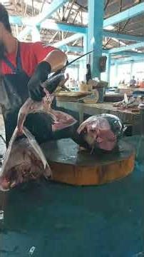 Really fresh tun #shorts #tunacuttingskills #fishcutting