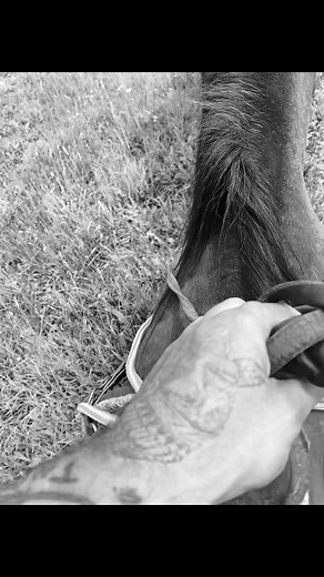 20K views · 1.4K reactions | We rode… down to The creek by the water.. @Teton village Trail rides | Bryan Martin | Facebook