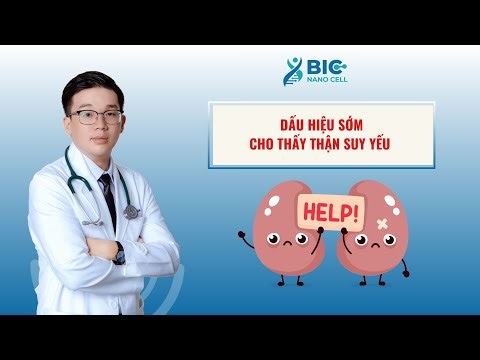 Early signs that your kidneys are gradually weakening | DOCTOR KET - BIC NANO CELL