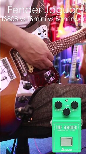 Fender Jaguar/TS808 vs TS MINI vs Behringer #ts808 #tsmini #behringer #guitarpedals # fender