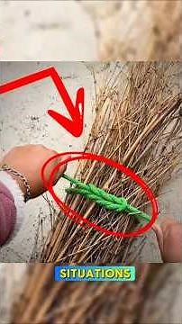 8 Essential Rope Knots Everyone Should Know How to Tie