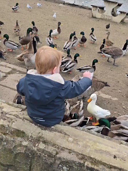 Private Nanny on TikTok