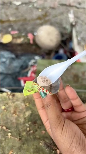 Survival Skills: SMART ideas and Useful in forest Jaljeera Spicy