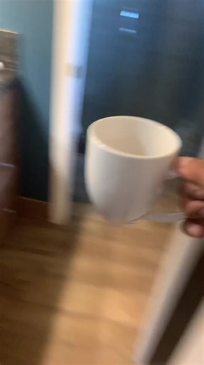 These flies 🙄 #fyp #foryoupage #collegememories #voiceover #potato #tiktok