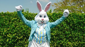 521K views · 8.1K reactions | Diana y Roma en la misión por encontrar a Oliver y otros aventuras divertidos | Diana y Roma en español | Facebook