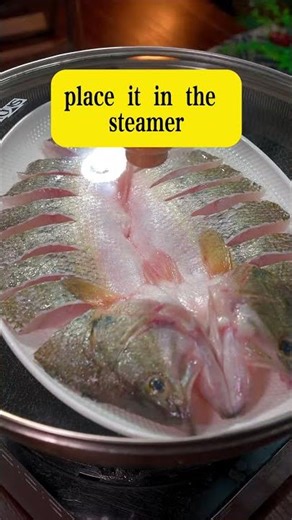 Light & Nutritious: The Best High-Protein Meal for a Body Reset. Easy to Digest & Nourishing