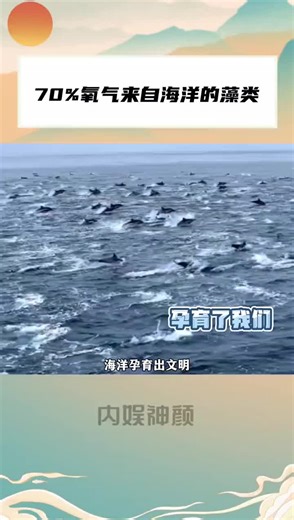 冷知识地球百分之70的氧气来自海底的藻类！#海洋生物 #世界不能没有干净的海洋 #生态环境 #科普一下 #新地球