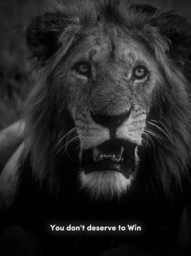 THE RULER ™ on Instagram: "[157/1000] REAL RULERS 🔱 . . "Step into the arena of life with courage, for it is the fear of losing that ignites the flames of determination within us. In every endeavor, there exists the risk of failure, but it is how we confront that fear that defines our journey. To deserve victory, one must first confront the possibility of defeat, for it is through this struggle that we discover our true strength and resilience. Embrace the uncertainty, for it is the path to gro