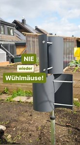 So habe ich Wühlmäuse dauerhaft aus dem Garten verbannt