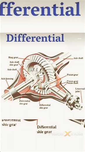 3D Printed Gear Mechanism Differential system