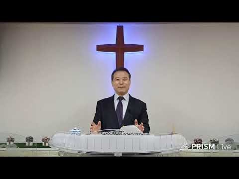 코데오coDeo 라이브 방송