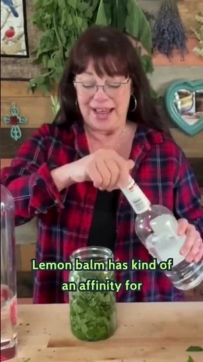 Turn Your Lemon Balm into Medicine Today!