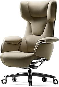 Amazon.com: TOMU Executive Office Chair, High Back Genuine Leather Recliner, Ergonomic Design with Adjustable Height, Black (Beige) : Office Products